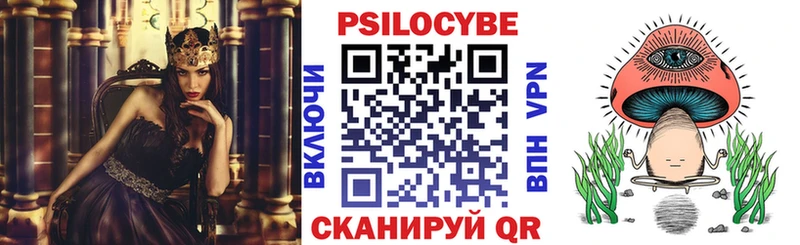 как найти закладки  Сясьстрой  Галлюциногенные грибы Psilocybine cubensis 